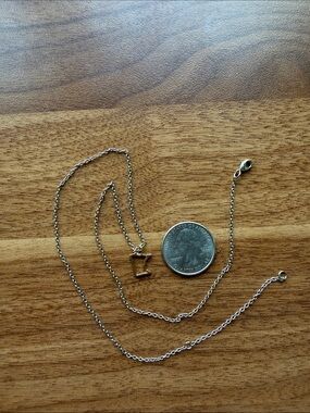 Patina Gold Toned Minnesota Outline Necklace with Chain